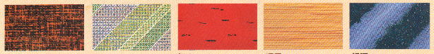 image1.jpg