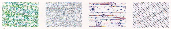 image34.jpg